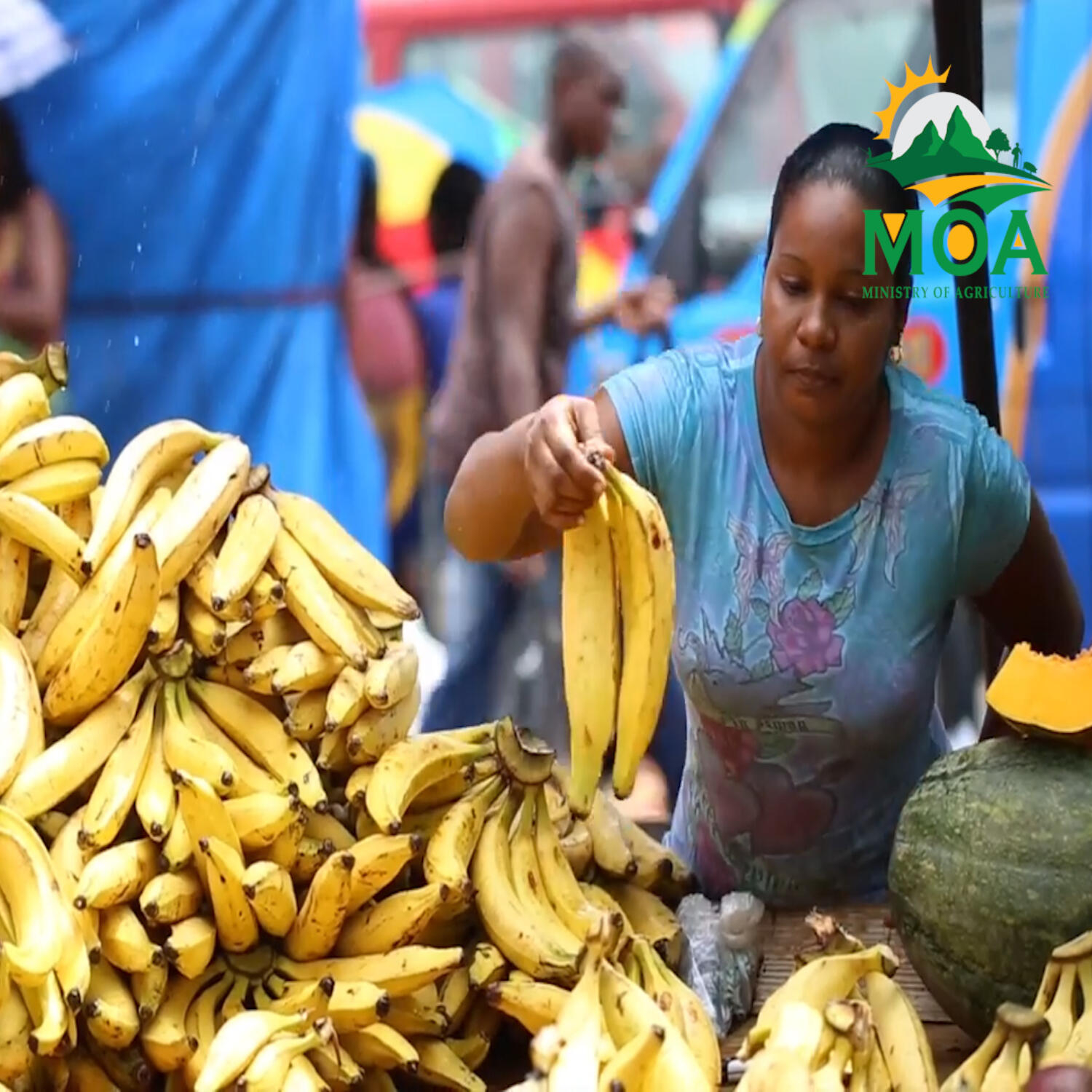 Agricultural Ministry Leads By Strengthening Food Systems   Through National Dialogue episode artwork