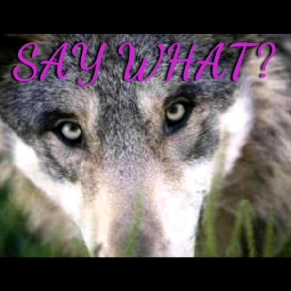 "SAY WHAT?" 7/3/21 - July 4 to Human Design artwork