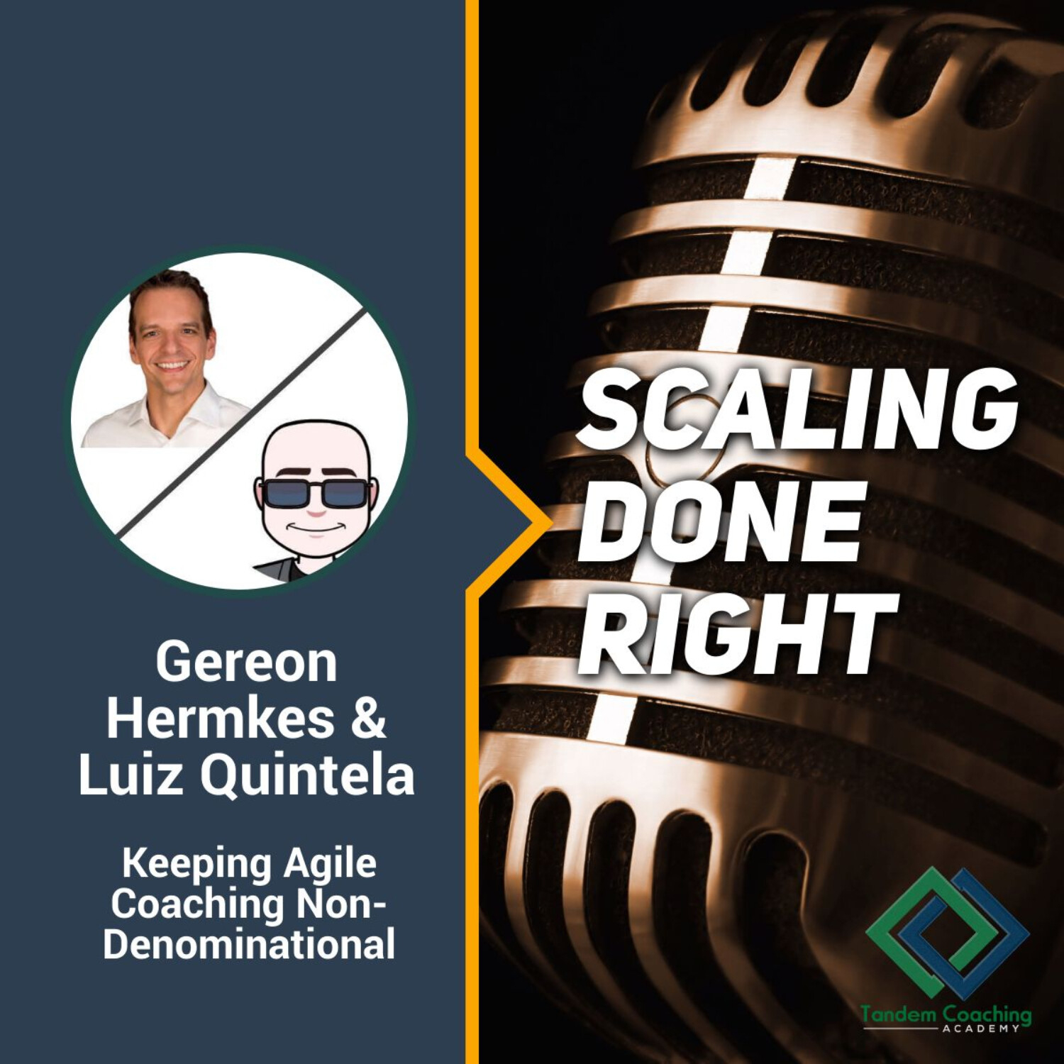 Bridging Agile and Professional Coaching Worlds