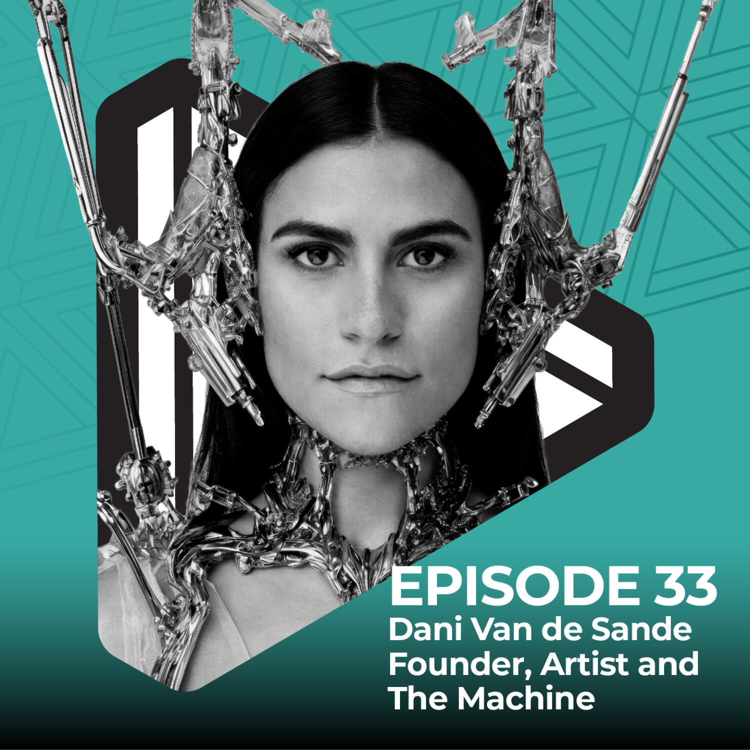 Where Ai And Artists Meet; Dani Van de Sande of Artist and the Machine