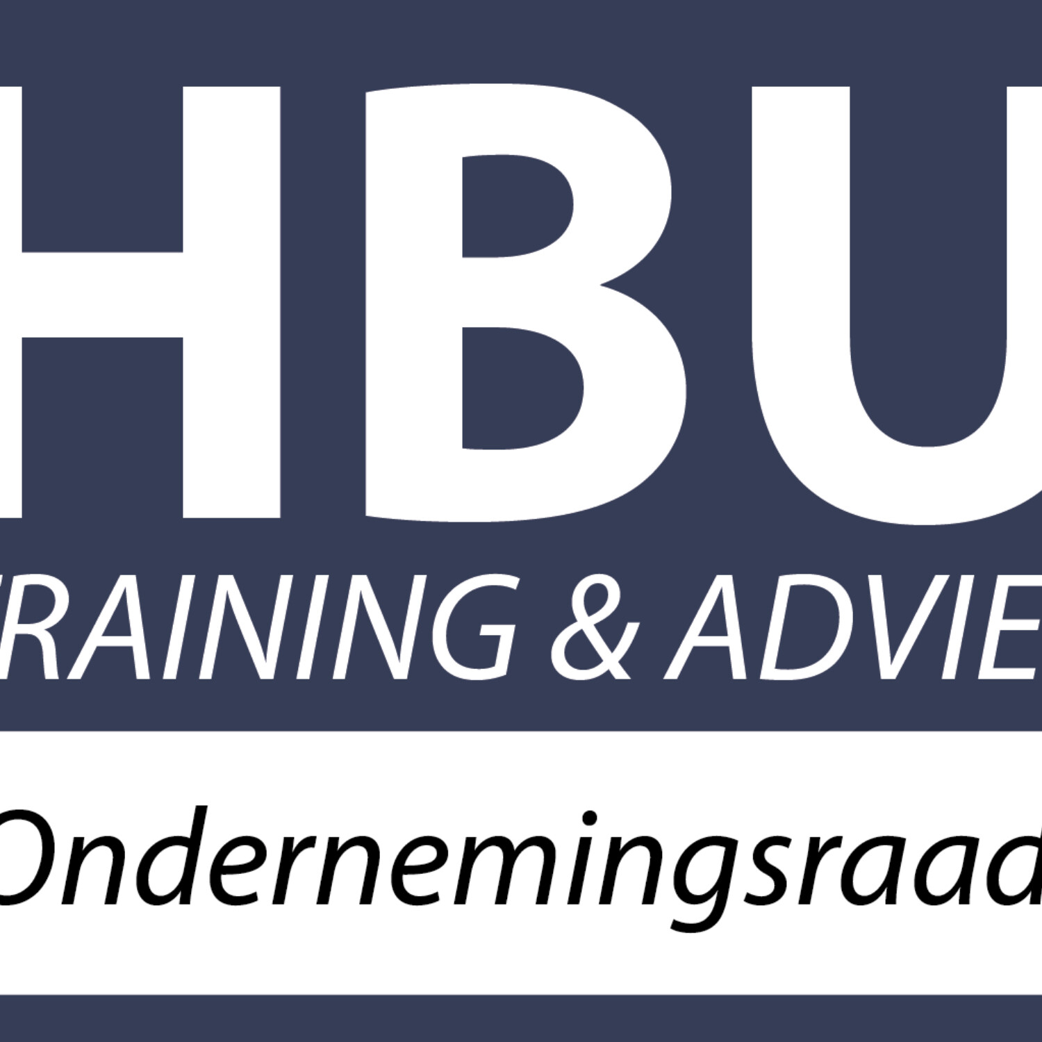 Podcast Dyon en Hielke over de cursus van HBU