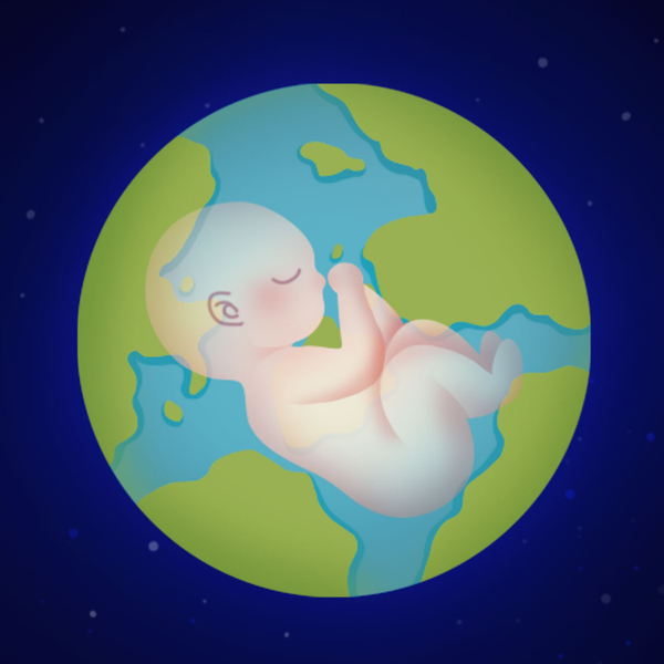 Wonder and Enlightenment: A Journey through Time with A Short History Of Nearly Everything artwork