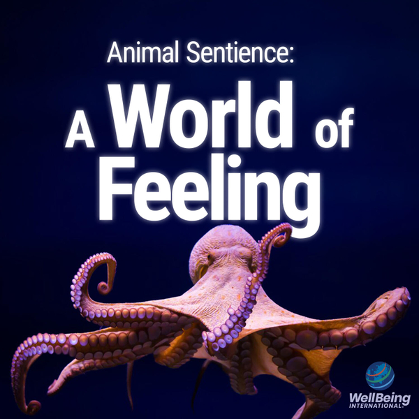 Animal Sentience: A World of Feeling artwork