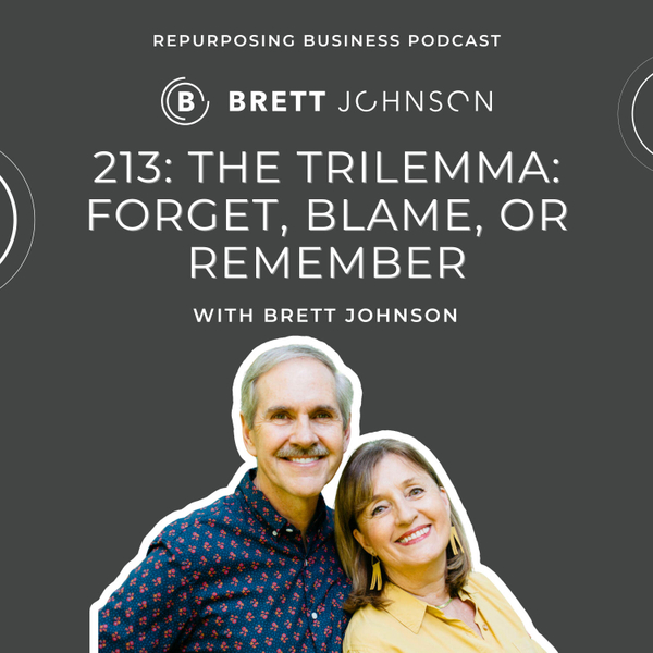 213: The Trilemma: Forget, Blame, or Remember artwork