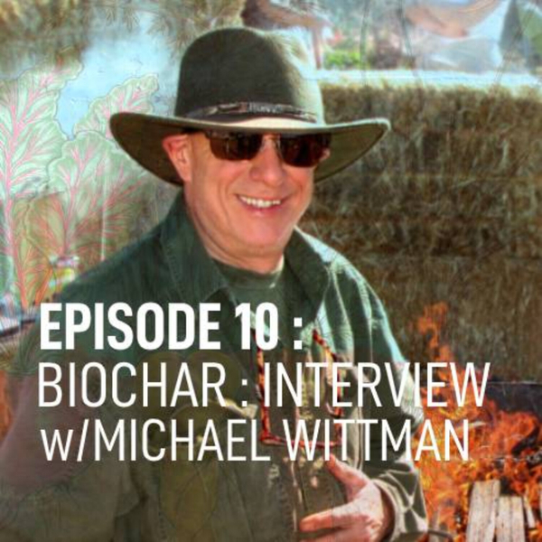 Biochar : Interview w/Michael Wittman artwork