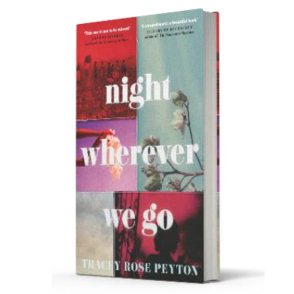 Interview with Tracey Rose Peyton author of Night Wherever We Go artwork