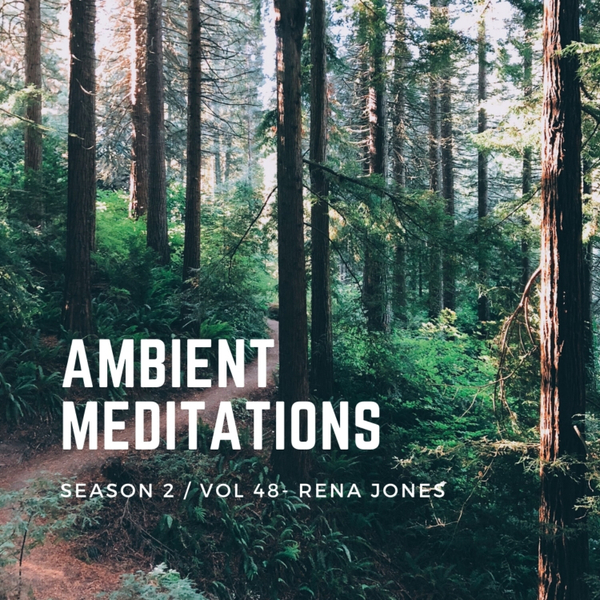Magnetic Magazine Presents: Ambient Meditations S2 Vol 48  - Rena Jones artwork