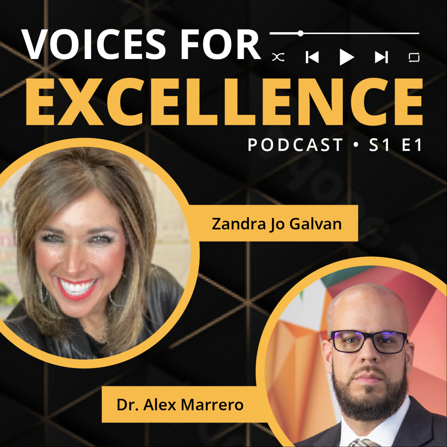 Voices for Excellence