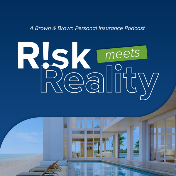 Risk Meets Reality artwork