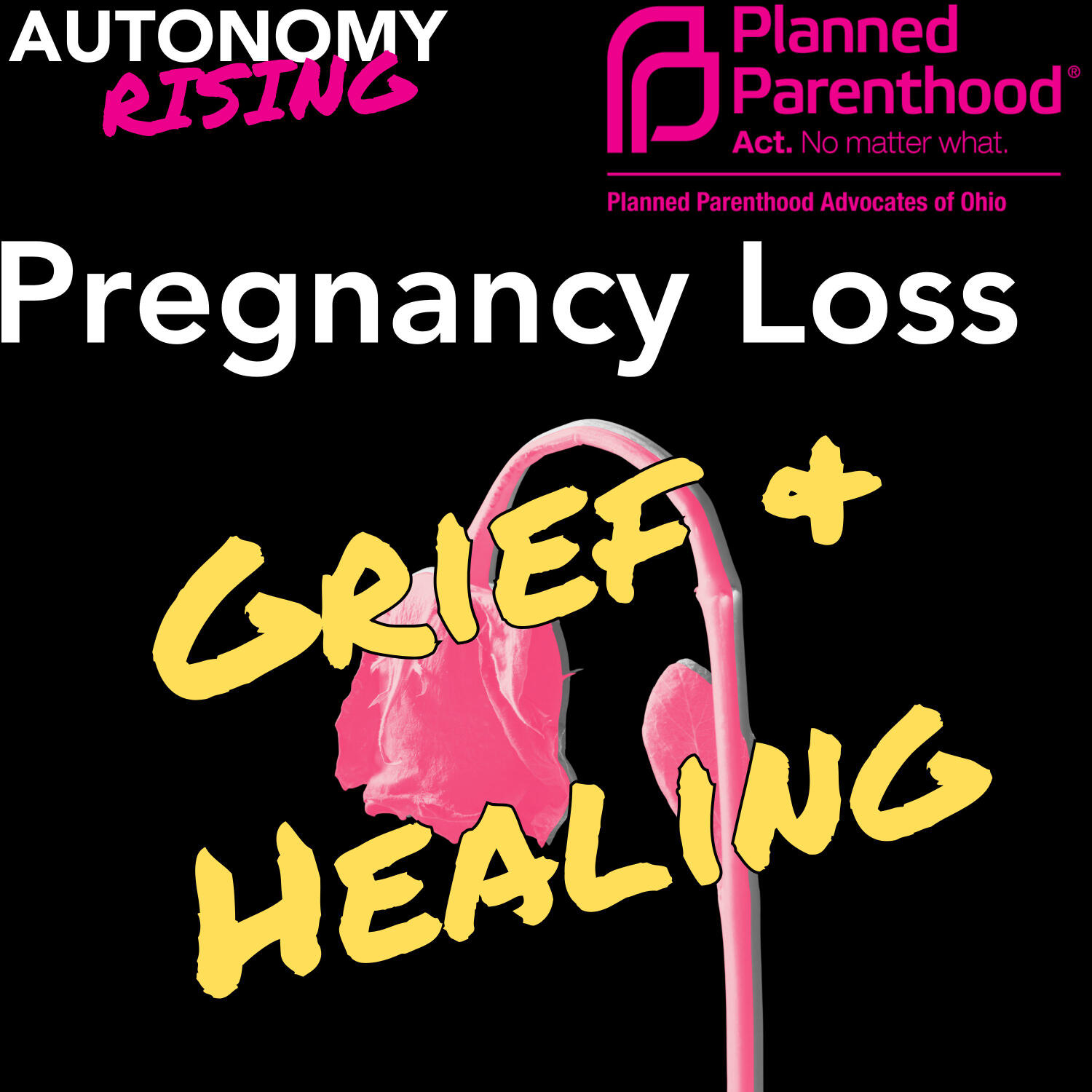 Pregnancy Loss: Stories of Grief & Healing episode artwork