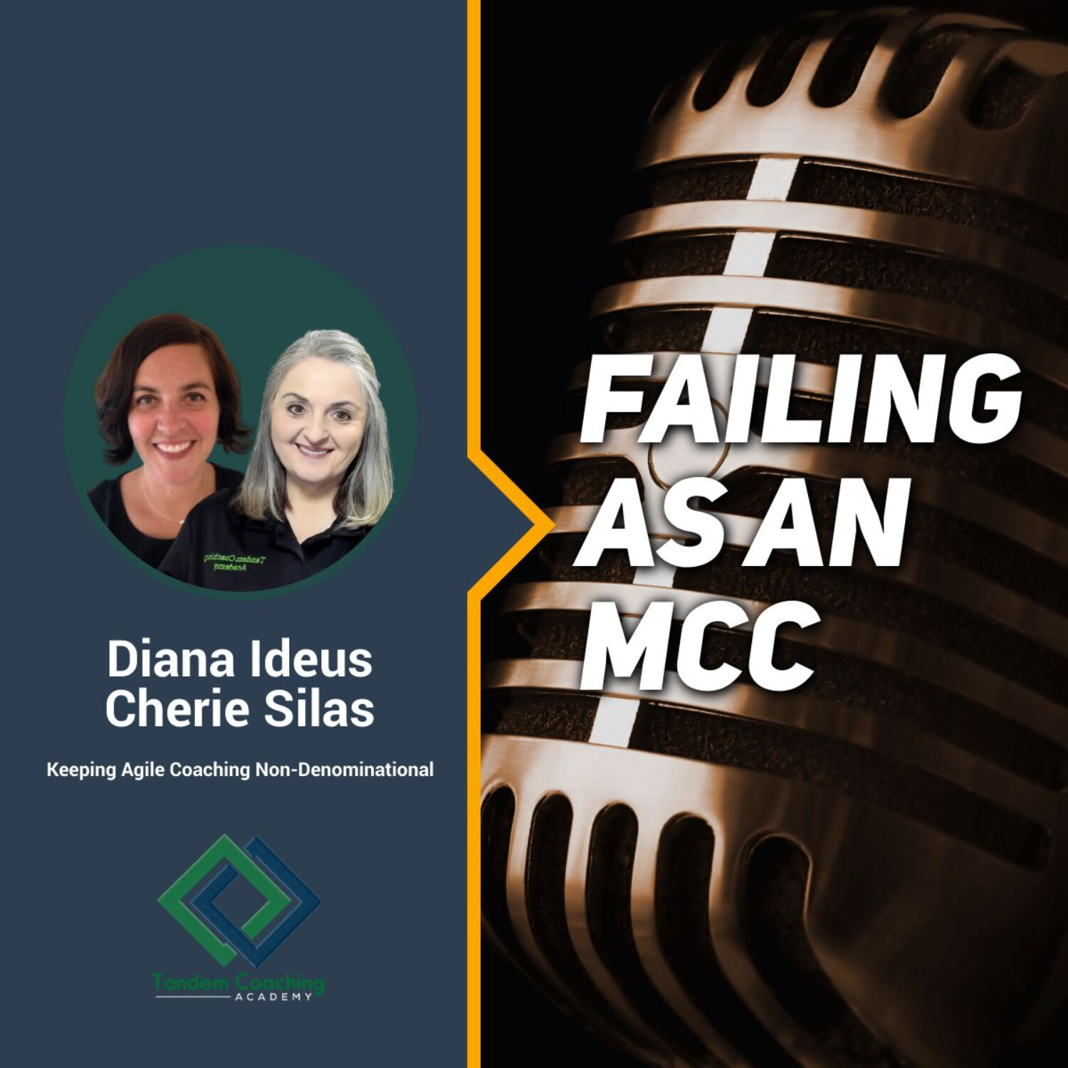 Bridging Agile and Professional Coaching Worlds
