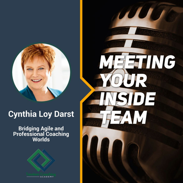 Meeting Your Inside Team with Cynthia Loy Darst artwork