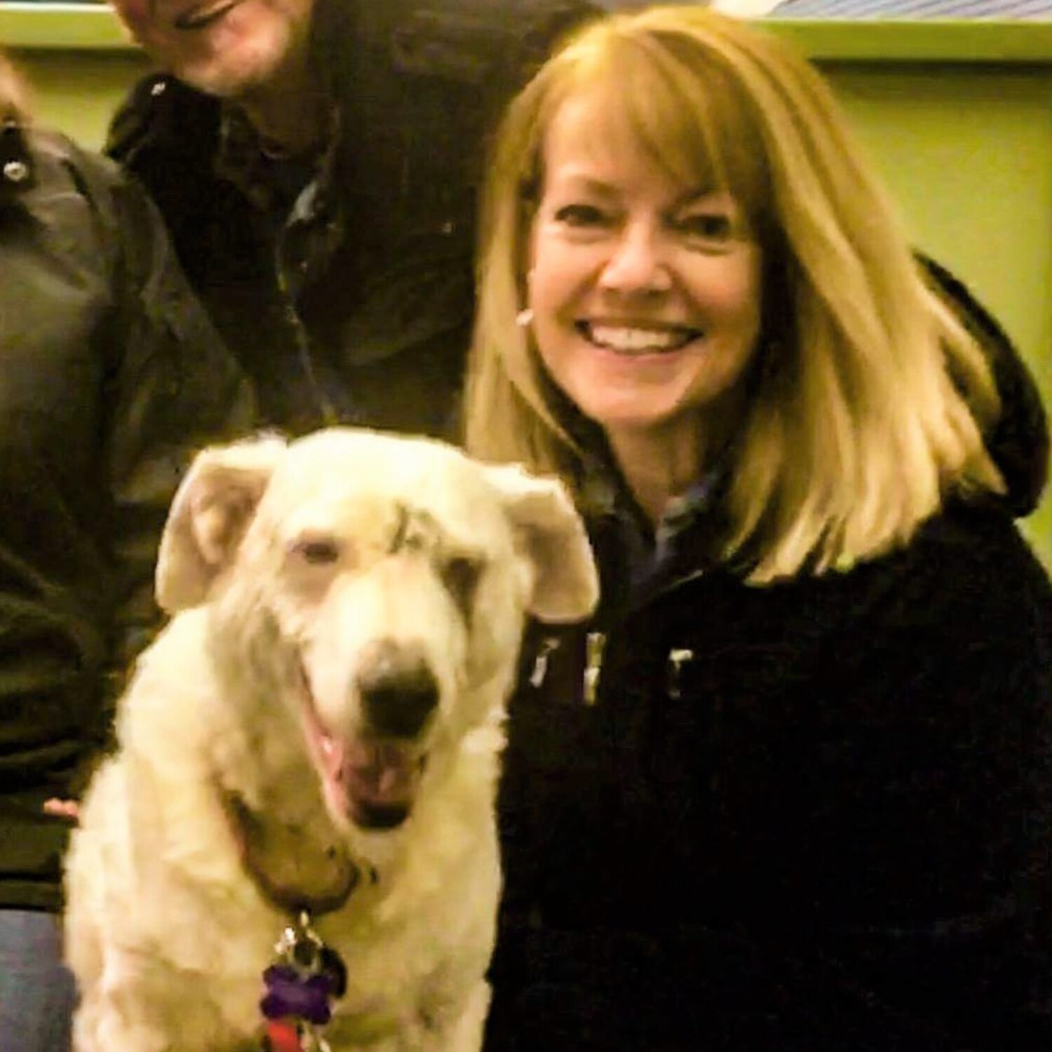 LET\'S TALK PETS - PATTY GIARRUSSO