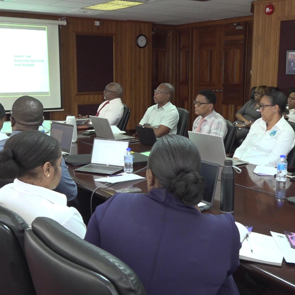 Financial Sector Stakeholders Welcome New Insolvency Regulations in Saint Lucia artwork