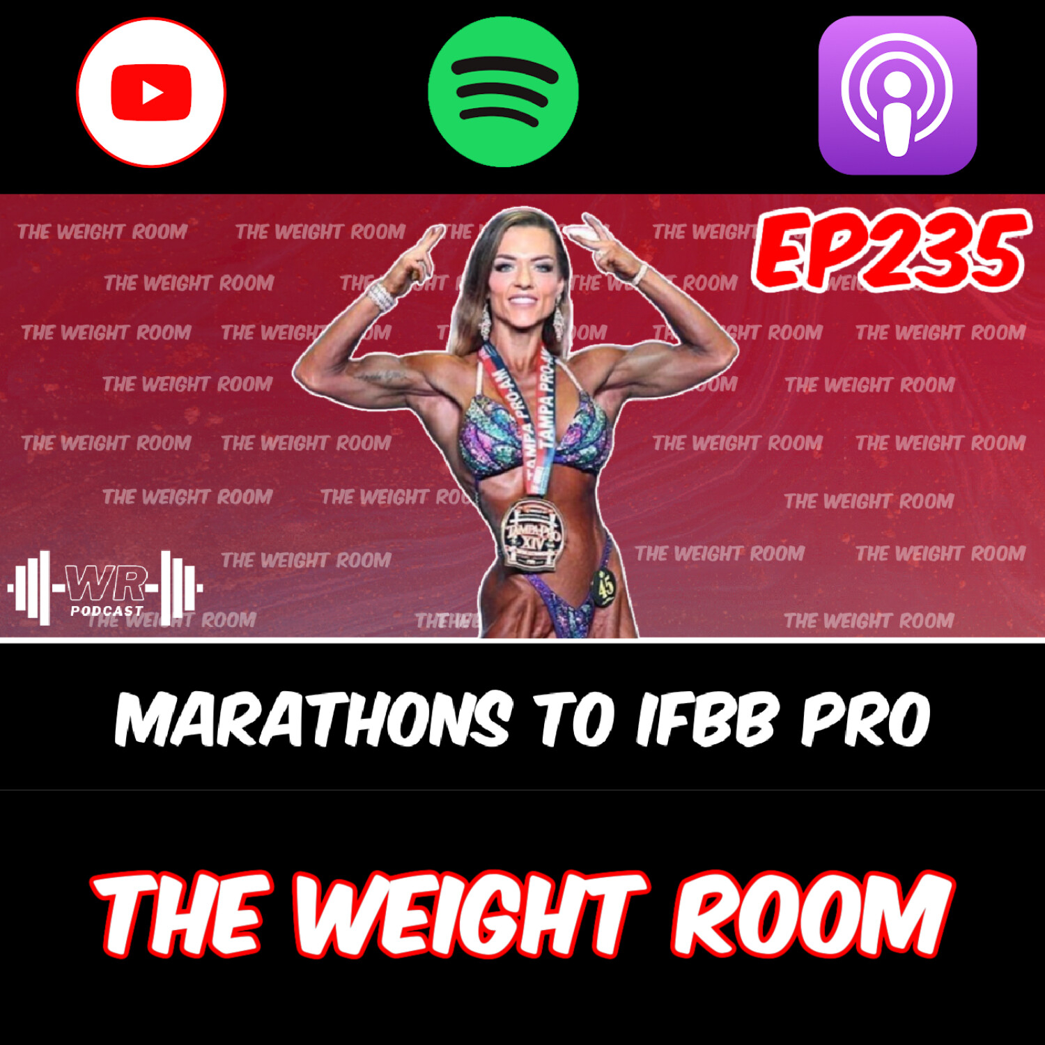 cover of episode EP235: Marathoner to IFBB Pro, Hayley Storm