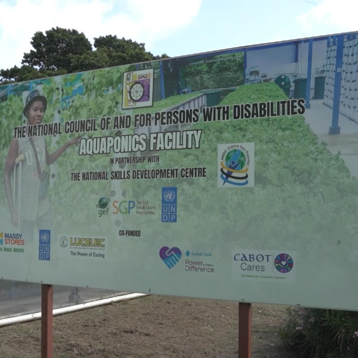 The National Council of and for Persons with Disabilities aquaponics facility episode artwork