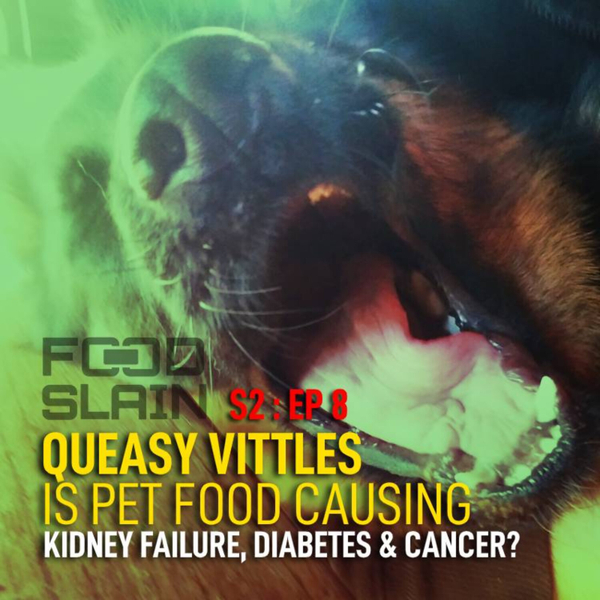 Is Pet Food Causing Kidney Failure, Diabetes and Cancer? Food Slain