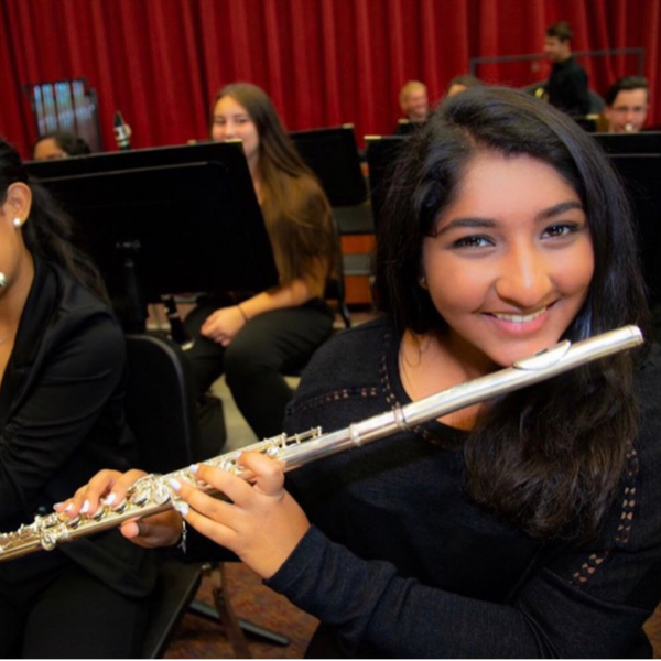 THE WESTERN CONCERT FLUTE - ANJALI VISVALINGAM PART 1 artwork