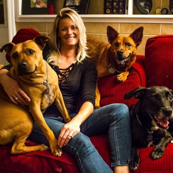 Let's Talk Pets - Trisha Antonelli artwork