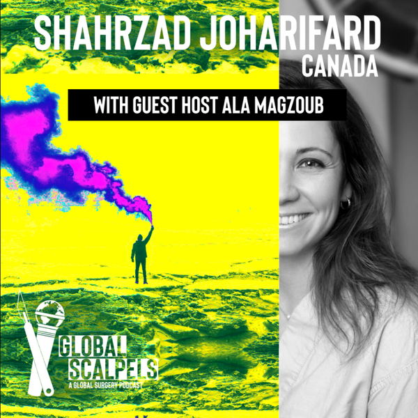 Ep 47: Shahrzad Joharifard artwork