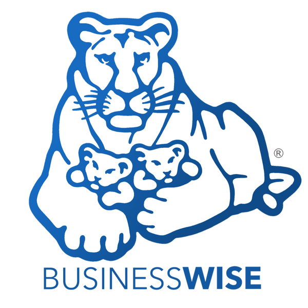 BusinessWISE artwork
