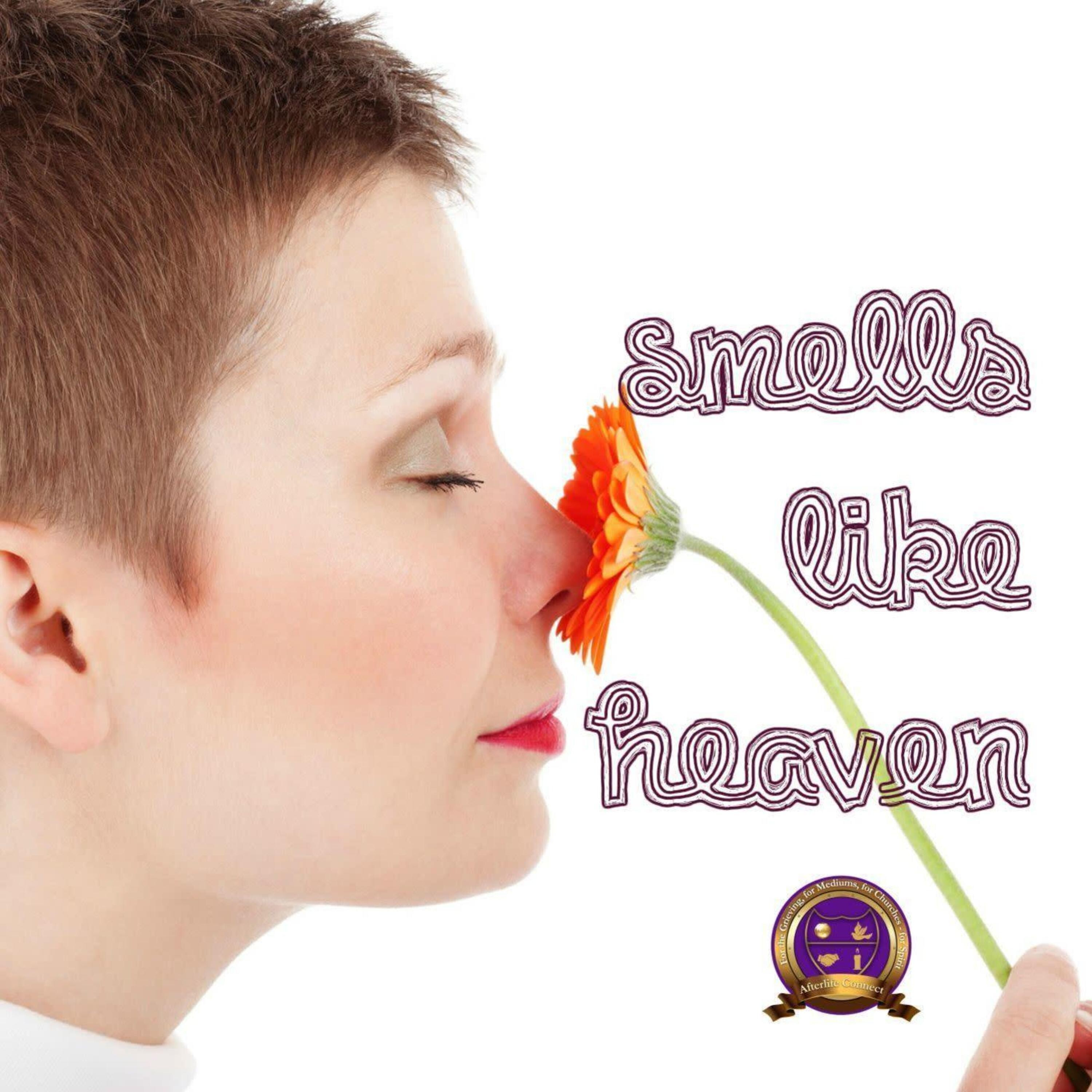 Signs Of Spirit - Smells