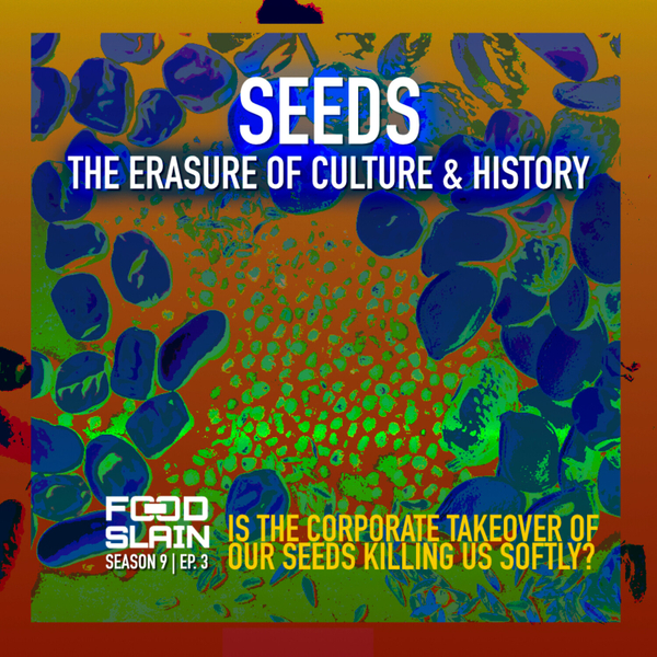 Seeds : The Erasure of Culture & History (aka Control) artwork