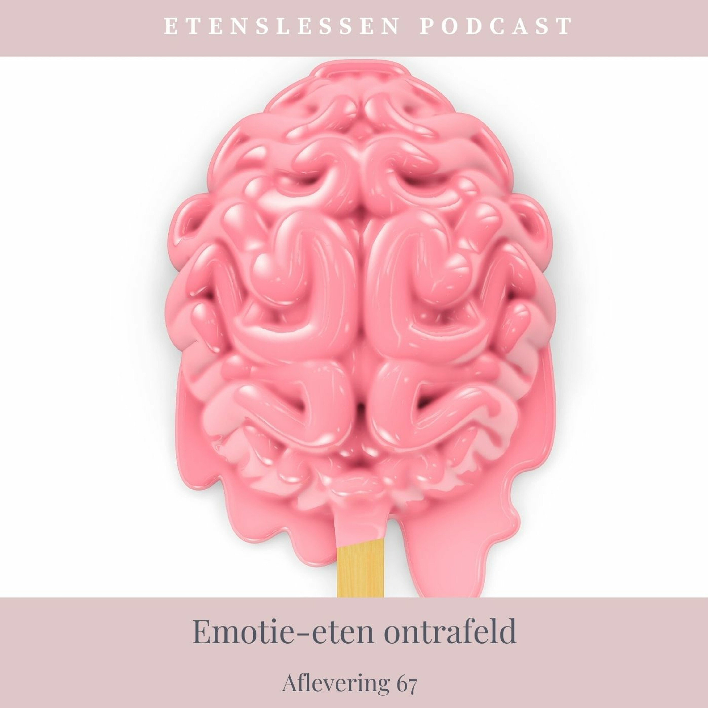 Afvallen met Etenslessen van Marjena Moll