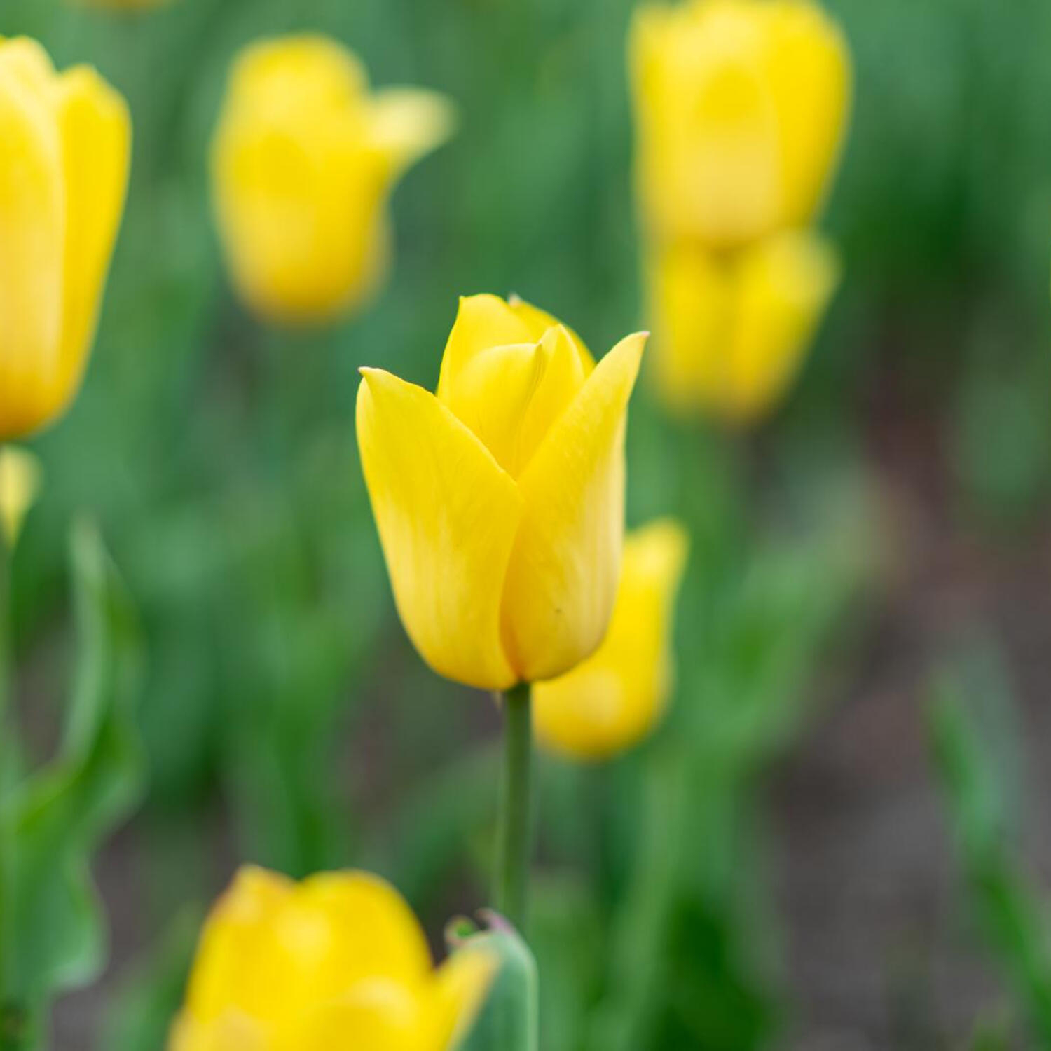 Všední život jako podobenství k rozeznání Boží lásky