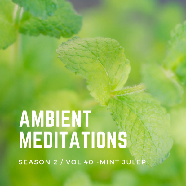 Magnetic Magazine Presents: Ambient Meditations Season 2 - Vol 40 - Mint Julep artwork