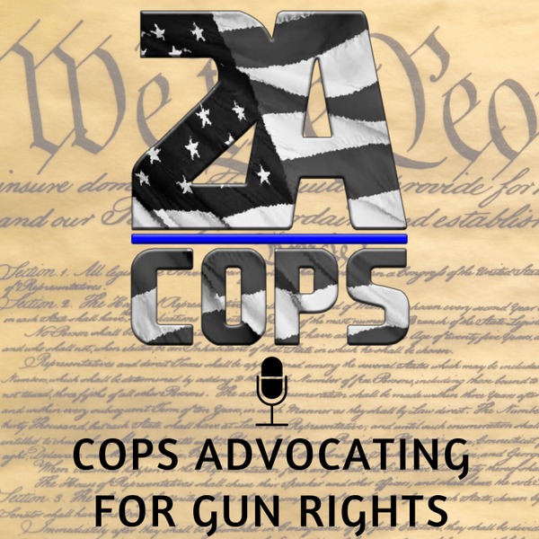 Episode 5-Arm Braces and the ATF Ruling artwork
