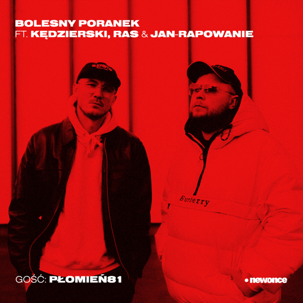 Płomień 81. Nowa płyta i nowe plany artwork