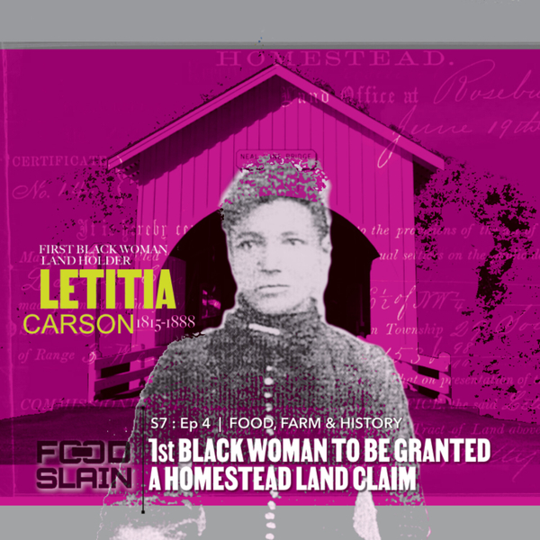 Letitia Carson - America's First Black Woman to Own Land artwork