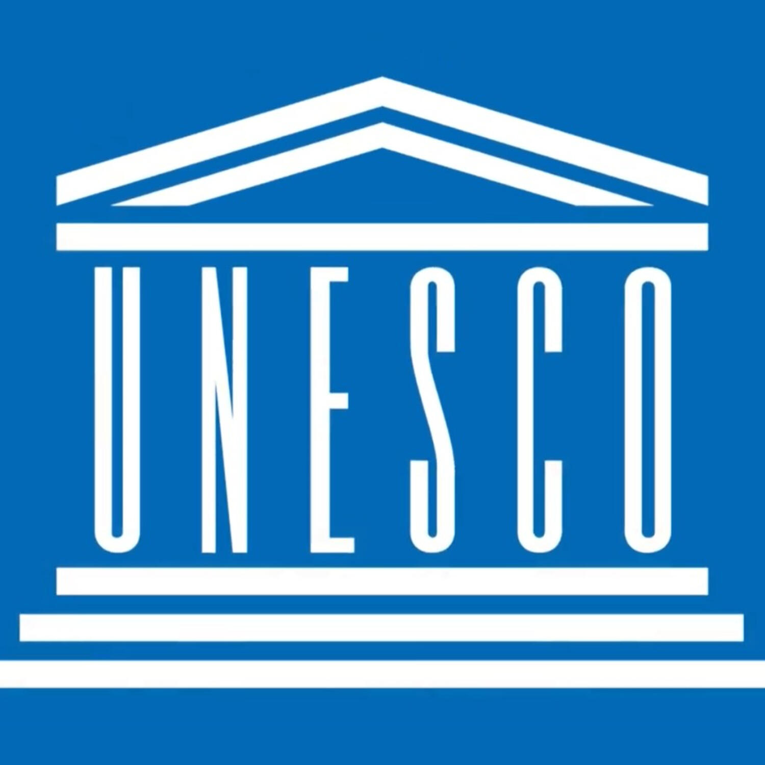 UNESCO Stakeholder Consultation marks 45 years of national impact