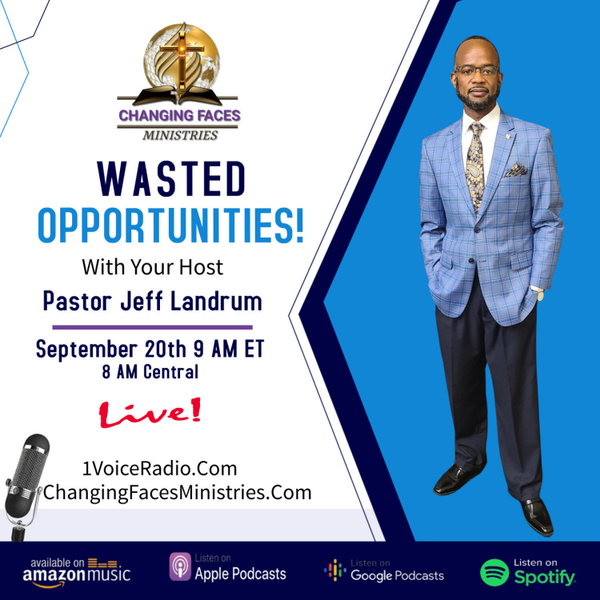Wasted Opportunities artwork