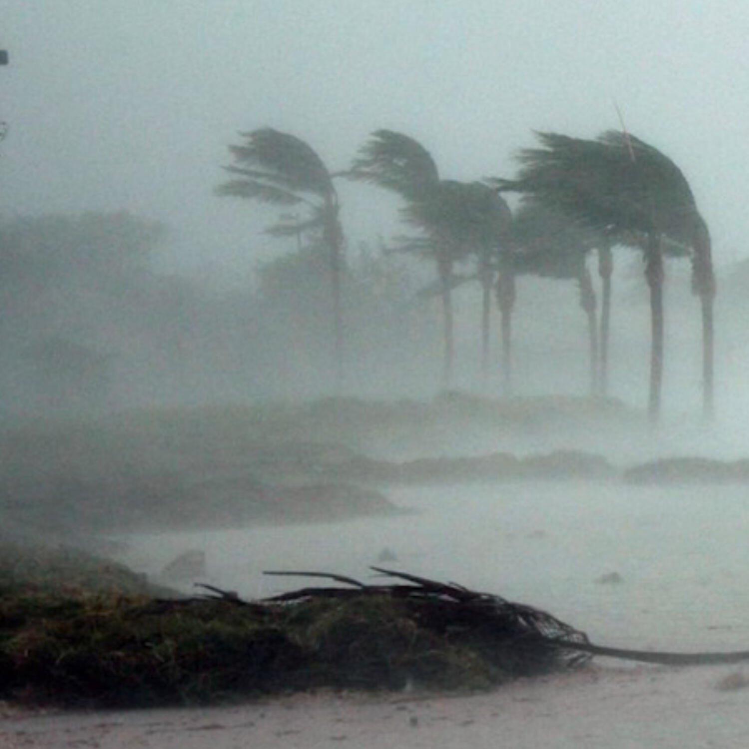 Environmental Health Division Highlights Key Preparedness Measures for the Hurricane Season episode artwork
