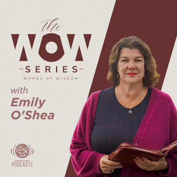 Shalom World - The WOW Series | Emily O’Shea artwork