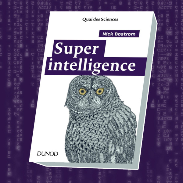 Rediffusion : Superintelligence de Nick Bostrom artwork