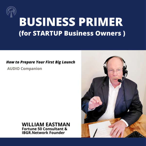 BUSINESS PRIMER  (for STARTUP Business Owners ) artwork