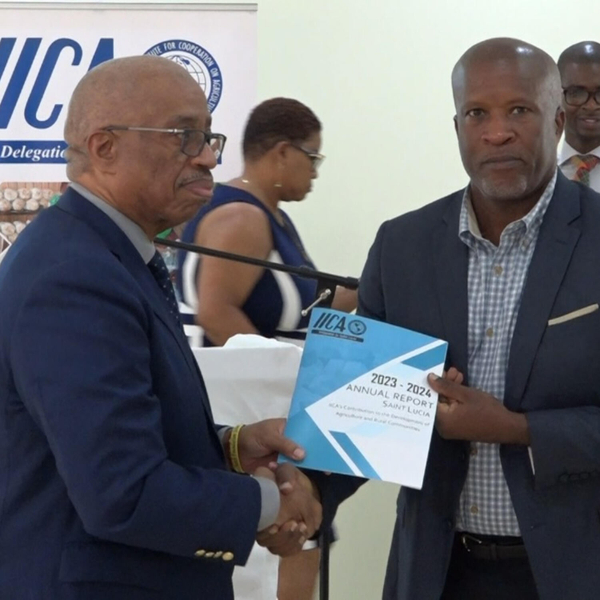 IICA Holds Annual Accountability Seminar in Saint Lucia artwork