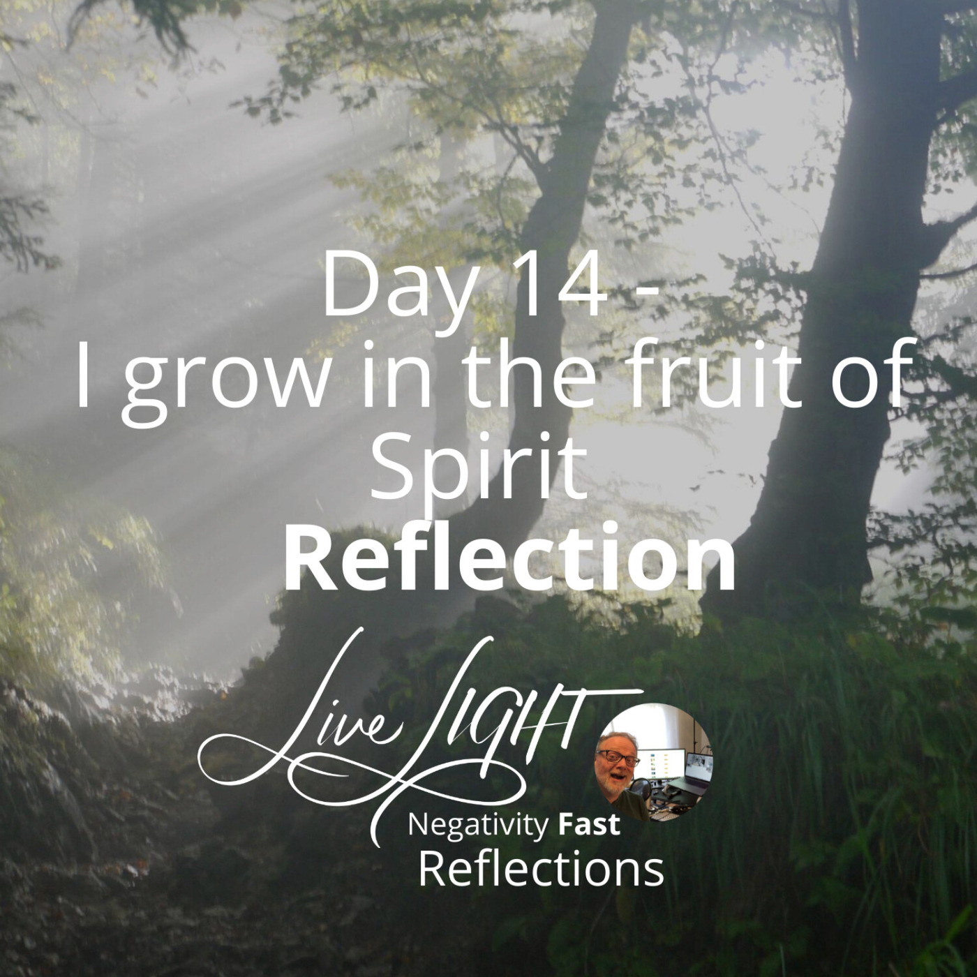 Day 14 - I grow in the fruit of Spirit Reflection