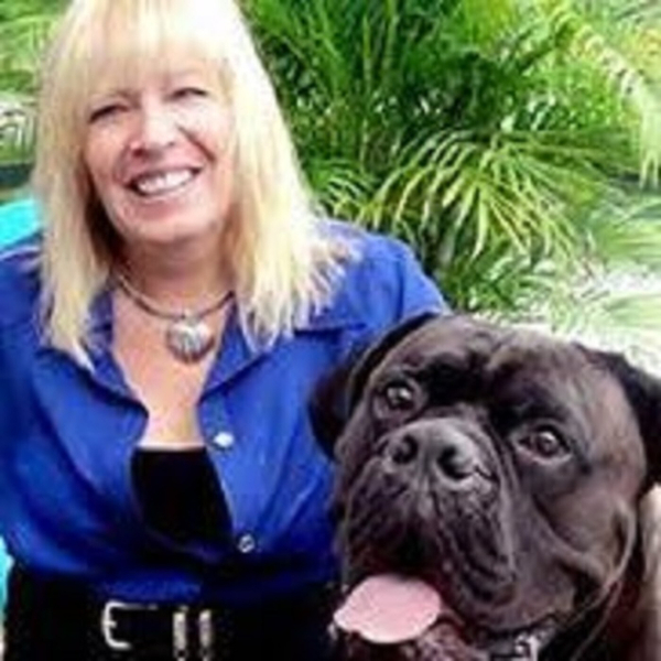 DEBBIE CAPOBIANCO - HELPING PET OWNERS WHEN THEY MOVE artwork