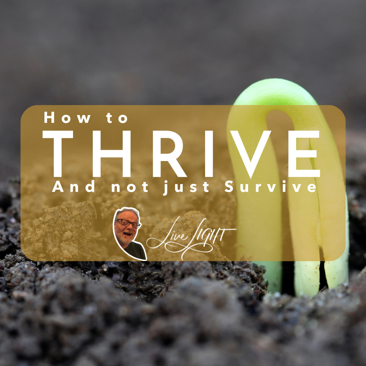 How to THRIVE and not just Survive