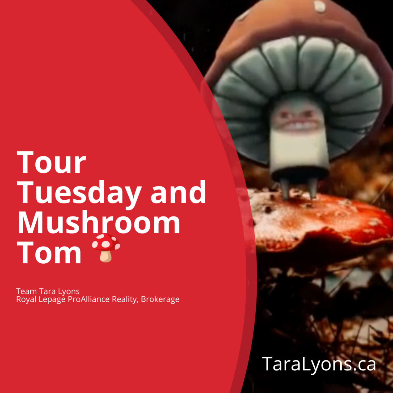 Let\'s Talk Real Estate with Team Tara Lyons