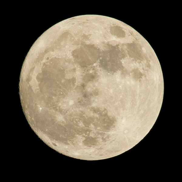 259: Moonshot artwork