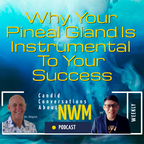 Why Your Pineal Gland Is Instrumental For Your Success artwork
