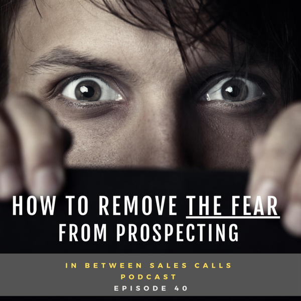 How To Remove The Fear From Prospecting artwork