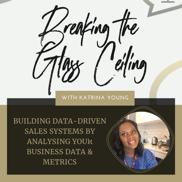 Episode 13 - Building Data Driven sales systems by analysing your business Data & Metrics artwork