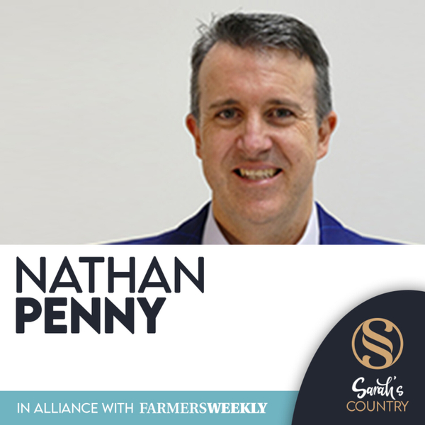 Nathan Penny | “GDT Index Highest Since 2014” artwork