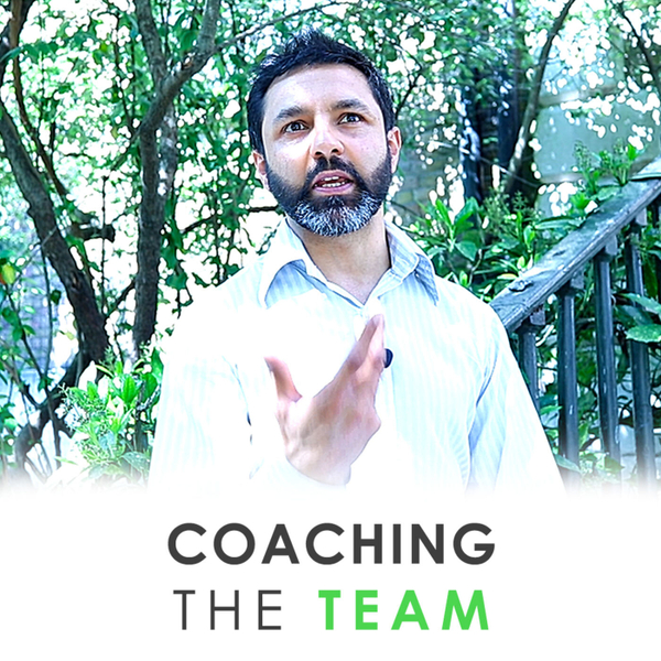 Coaching the Team : Cultivating a Coaching Culture at Work artwork